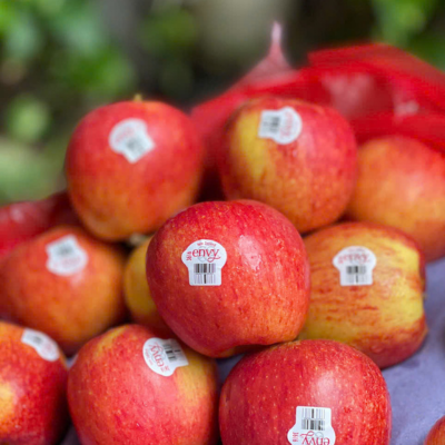 Đặc Sản Việt Nam