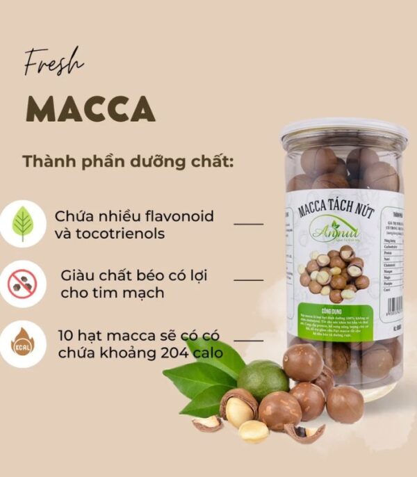 hạt macca