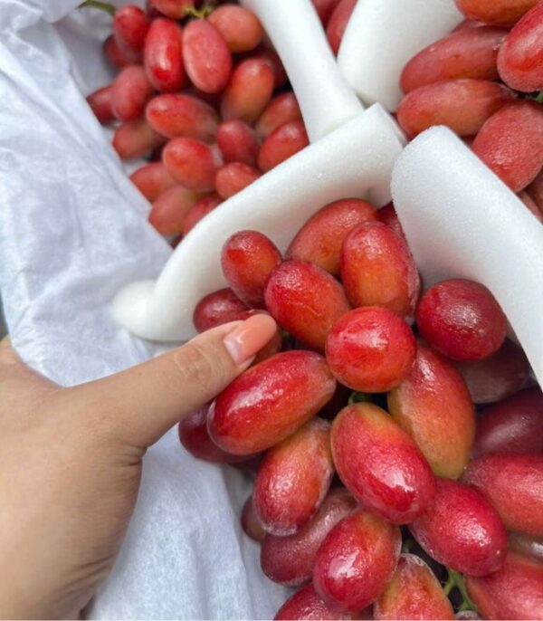 nho hồng móng tay