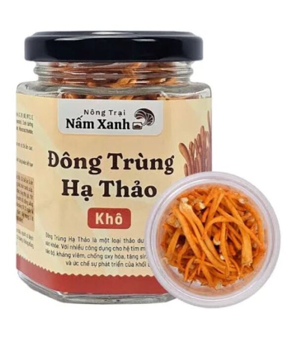Đông trùng hạ thảo sợi lớn sấy