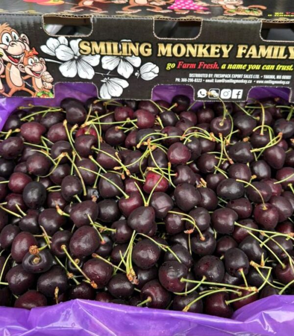 cherry