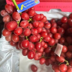 nhỏ Đỏ không hạt