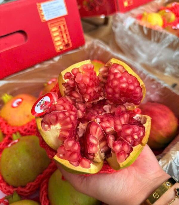 lựu Đỏ