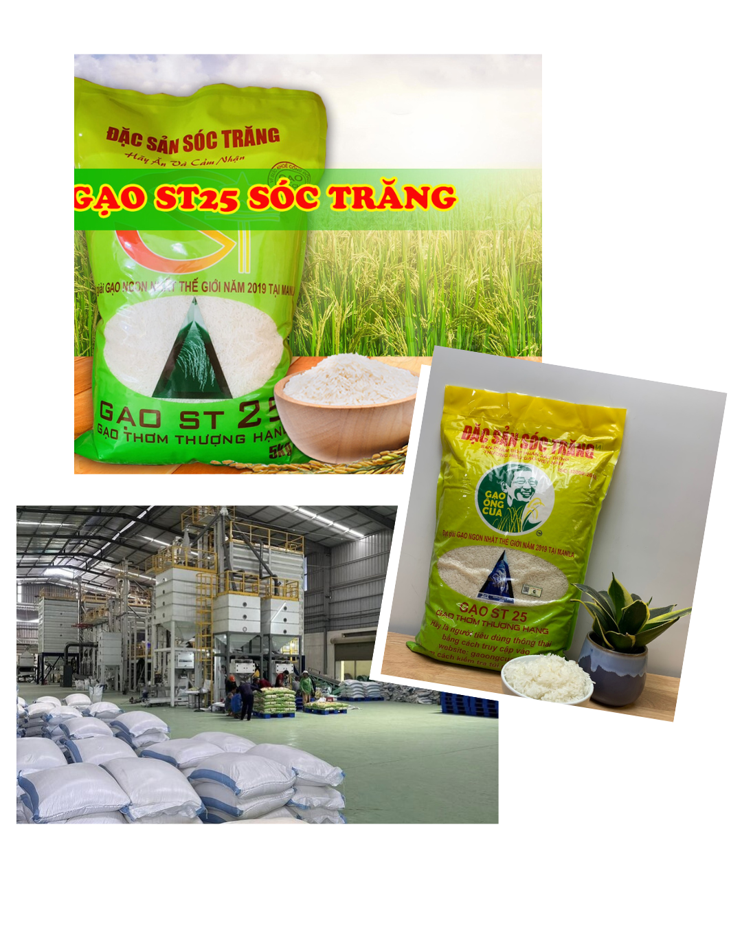 beige elegant collage beauty instagram post (2)