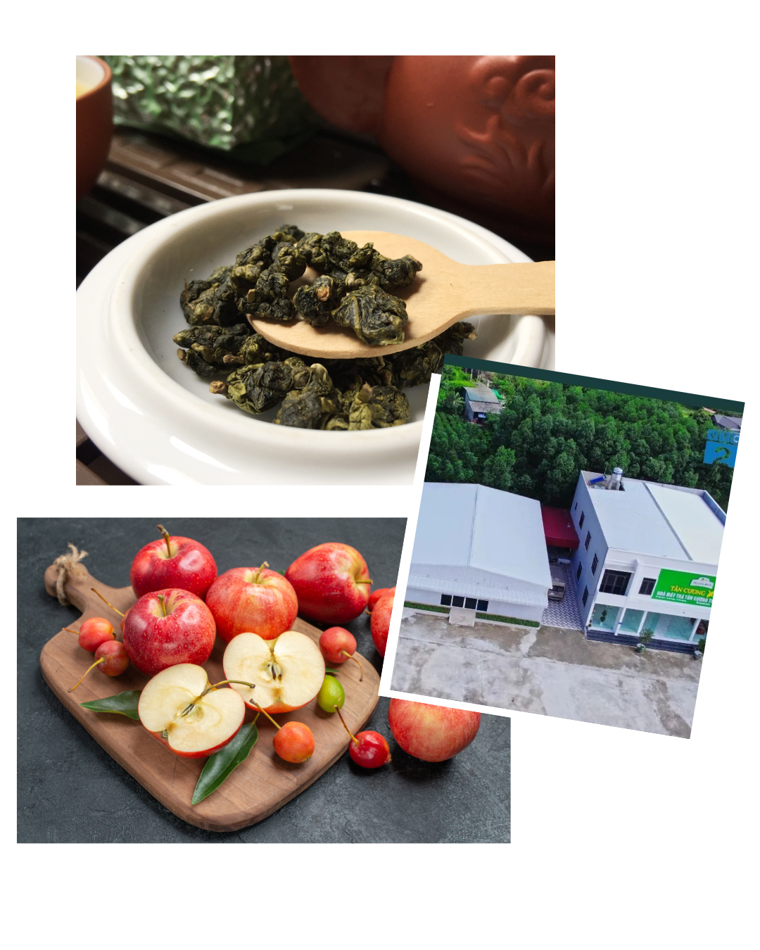 beige elegant collage beauty instagram post (3)