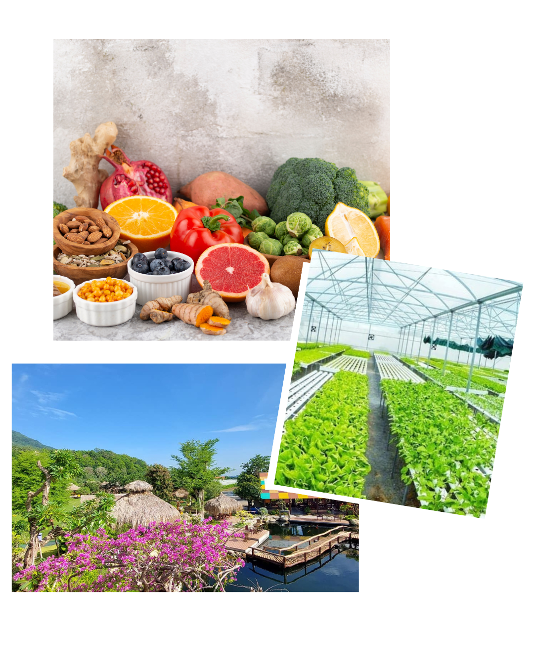 beige elegant collage beauty instagram post (4)