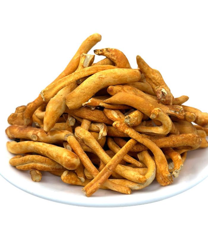 Đông trùng hạ thảo sấy thăng hoa